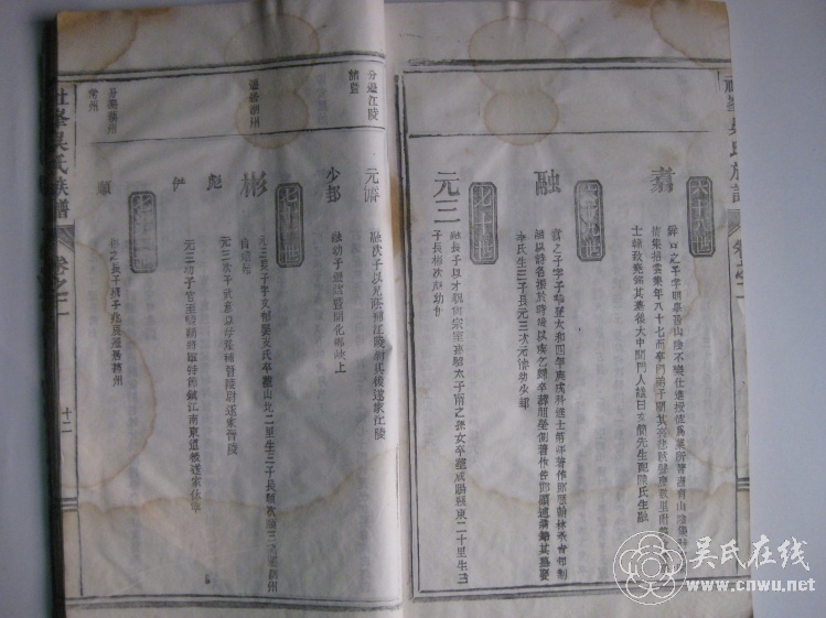 Զϵ6872 - wuyan8884876 - wuyan8884876Ĳ
