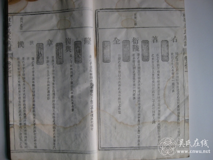 Զϵ3138 - wuyan8884876 - wuyan8884876Ĳ