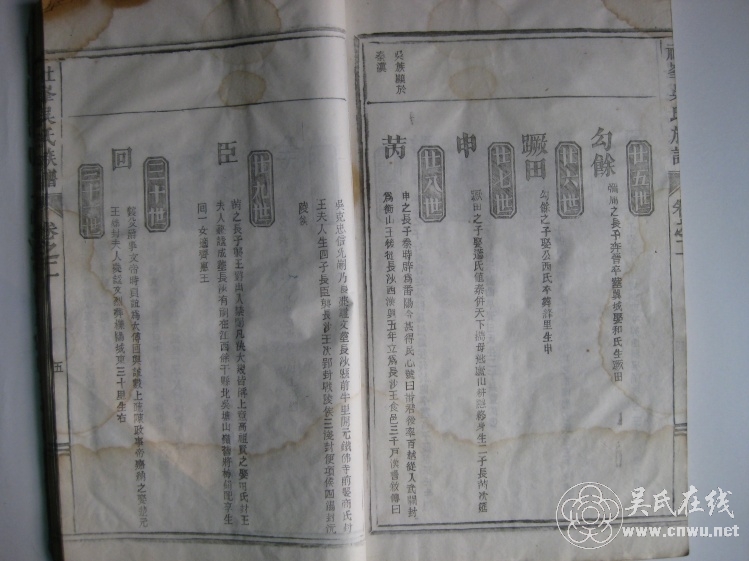 Զϵ2530 - wuyan8884876 - wuyan8884876Ĳ