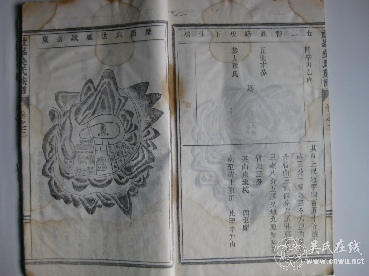 ǨϹĹ - wuyan8884876 - wuyan8884876Ĳ