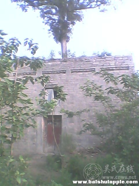 IMG0121A.jpg